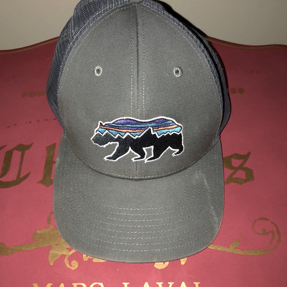Patagonia Trucker Hat
